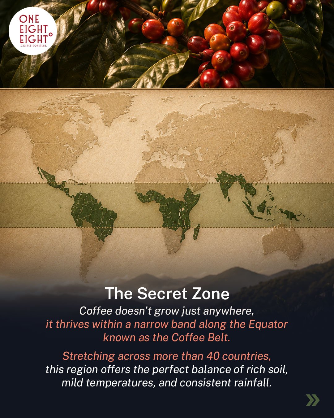 coffe region 2