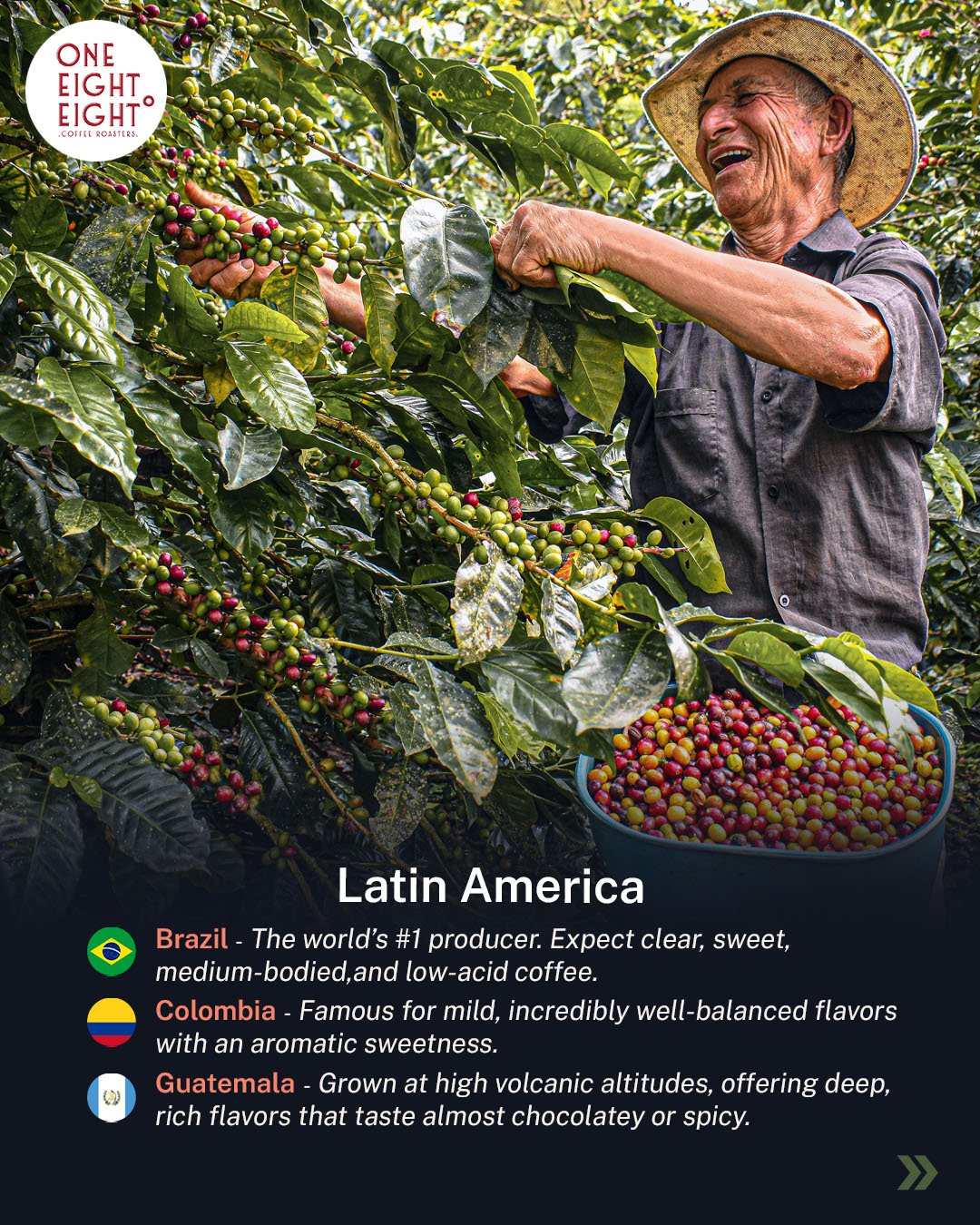 coffe region 3