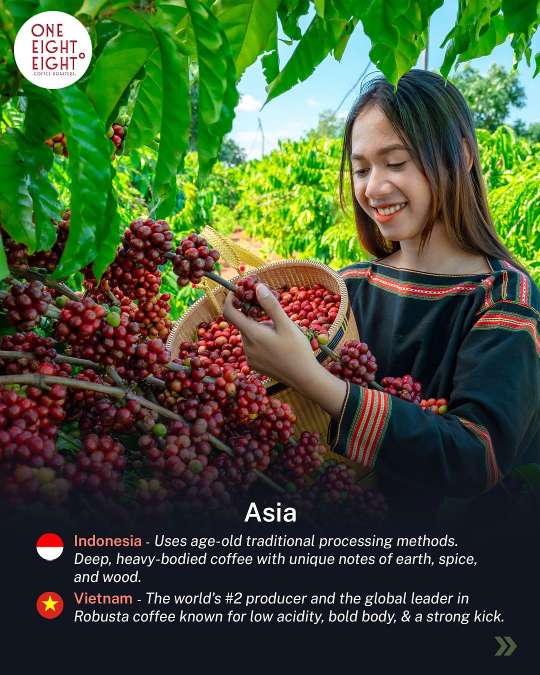 coffe region 5